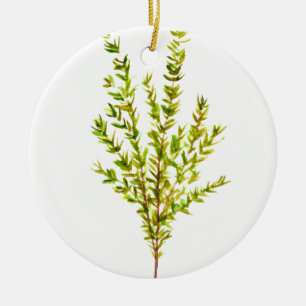 Thyme herbs Botanical herb green watercolor Ceramic Tree Decoration