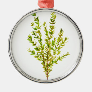 Thyme herbs Botanical herb Metal Tree Decoration