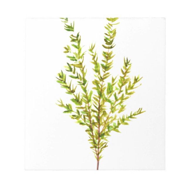 Thyme herbs Botanical herb Notepad (Front)