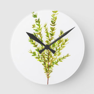Thyme herbs Botanical herb Round Clock