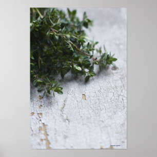 Thyme on old wooden table poster