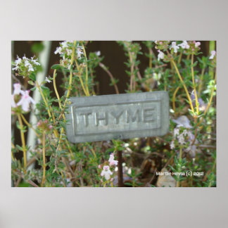 Thyme Poster