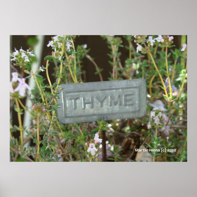 Thyme Poster (Front)