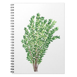 Thyme rosemary parsley herbs kitchen vintage art notebook