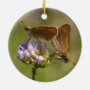 Thymelicus lineola ceramic tree decoration