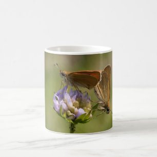 Thymelicus lineola coffee mug