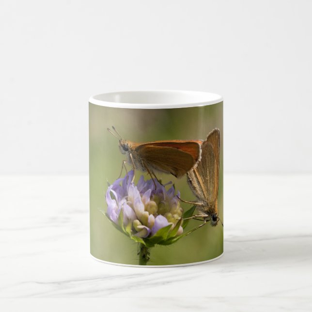 Thymelicus lineola coffee mug (Center)