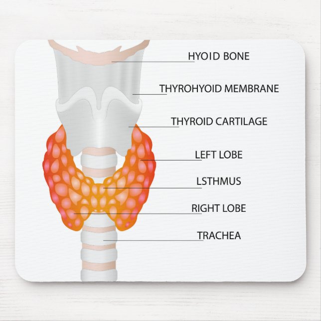 Thyroid gland mouse mat (Front)