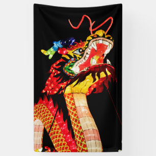 Tianlong Dragon Banner