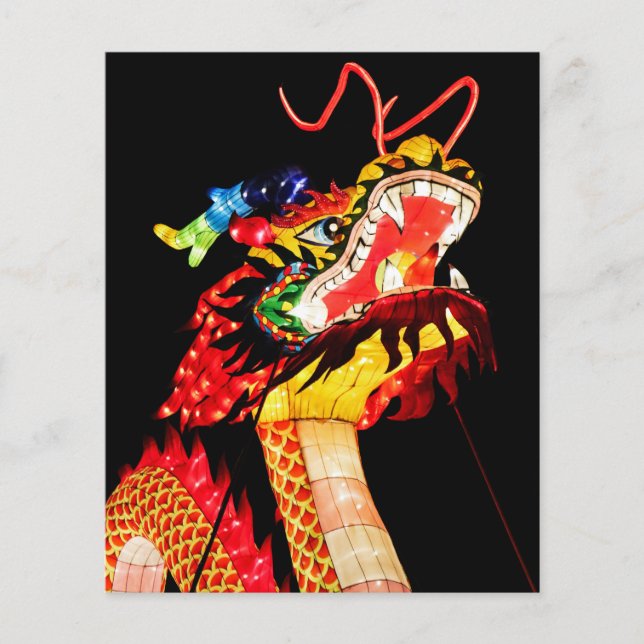 Tianlong Dragon Flyer (Front)