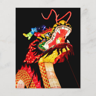 Tianlong Dragon Flyer