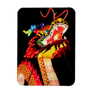 Tianlong Dragon Magnet