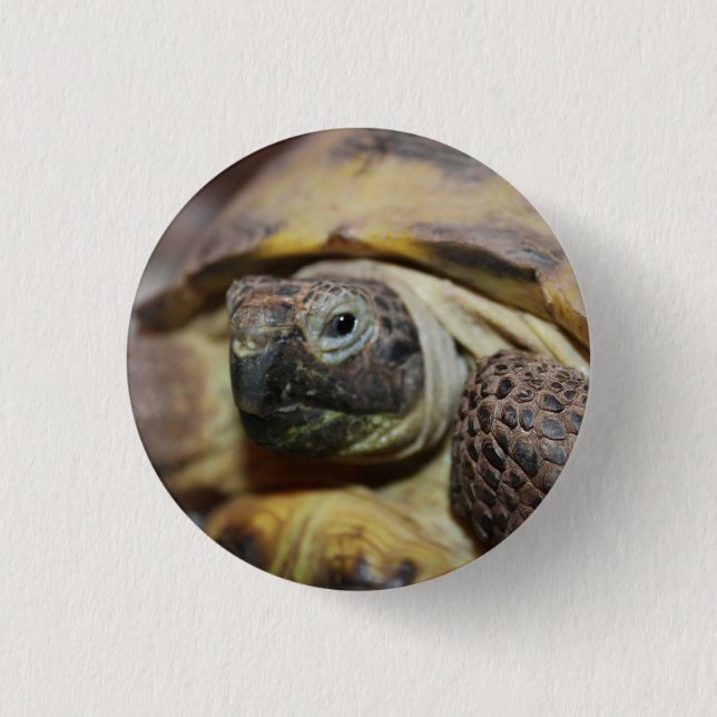 Tibbs 3 Cm Round Badge (Front)