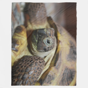 Tibbs  fleece blanket