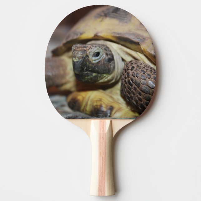 Tibbs Ping Pong Paddle (Front)