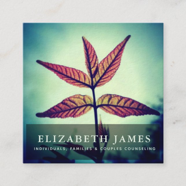 Tiber Blue Orange Star Leaf Nature Square Business Card (Front)