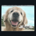 Tiberius' 2019 Golden Retriever AugieDoggy Calendar<br><div class="desc">This calendar features 12 months of golden retriever Tiberius, of AugieDoggy.com fame! Ti can be seen dressed as a viking, with a Thanksgiving turkey on his head, wearing nerd glasses, resting under the Christmas tree, and lots more! We dedicate it to our Augie, who went to the rainbow bridge on...</div>