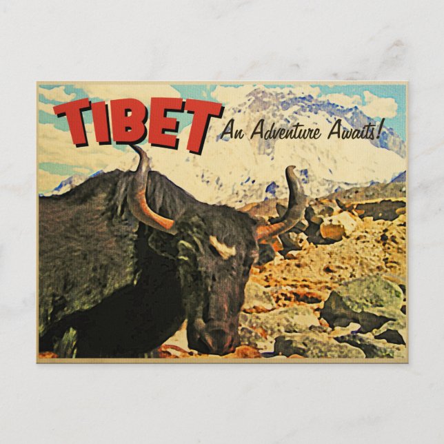 Tibet Adventure Awaits Ox Postcard (Front)