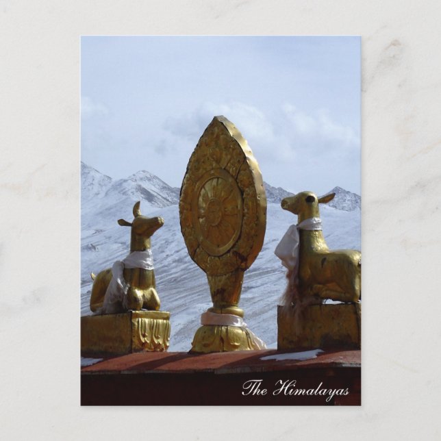 Tibet, Ganden Monastery Deers turning Dharma wheel Postcard (Front)