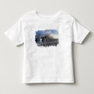 Tibet - Lhasa. Potala at sunrise Toddler T-Shirt