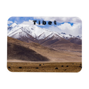 Tibet - Mountain landscape with yaks Magnet