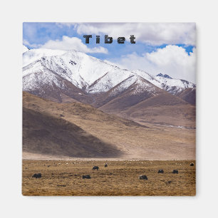 Tibet - Mountain landscape with yaks Magnet