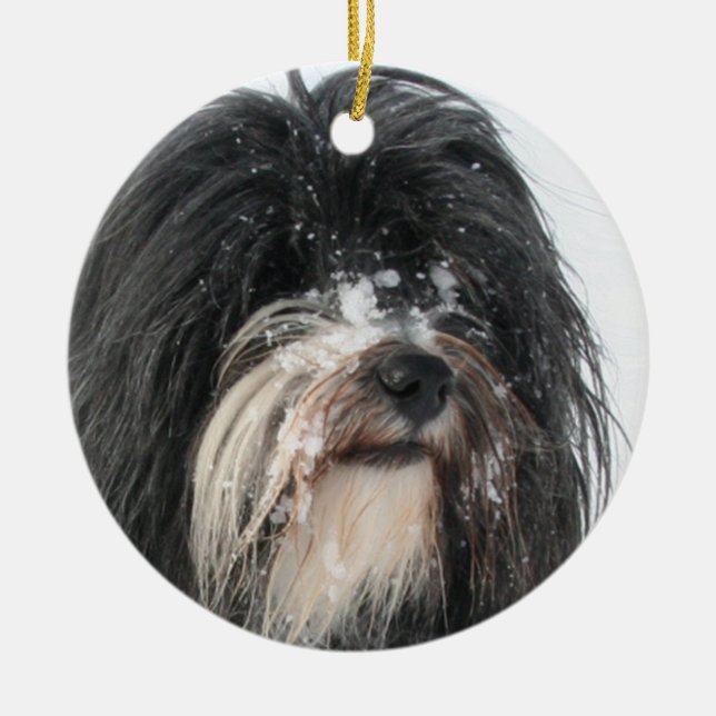 Tibet_Terrier.png Ceramic Tree Decoration (Front)