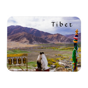 Tibet - Yumbulakhang Palace Magnet