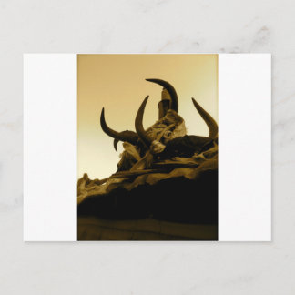 Tibetan Horns Postcard