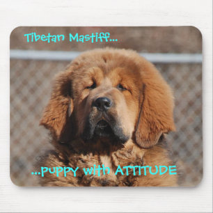 Tibetan Mastiff Attitude Mouse Mat