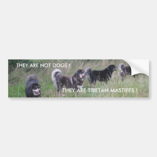 TIBETAN MASTIFF BUMPER STICKER