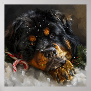 Tibetan Mastiff Dog Christmas Festive Poster