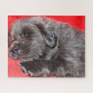 Tibetan Mastiff Dog Jigsaws. Jigsaw Puzzle