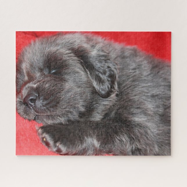 Tibetan Mastiff Dog Jigsaws. Jigsaw Puzzle (Horizontal)