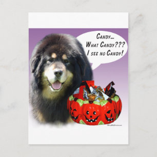 Tibetan Mastiff Halloween Candy Postcard