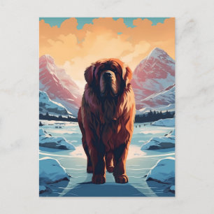 Tibetan Mastiff in the snowy mountains Postcard