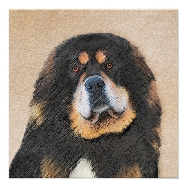 Tibetan Mastiff Painting - Cute Original Dog Art Poster (Front)