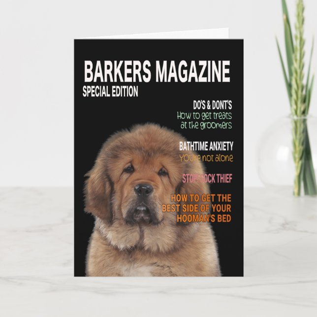 Tibetan Mastiff Parody Magazine Cover Card (Front)