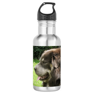 tibetan mastiff.png 532 ml water bottle