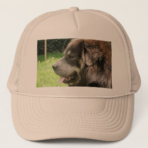 tibetan mastiff.png trucker hat