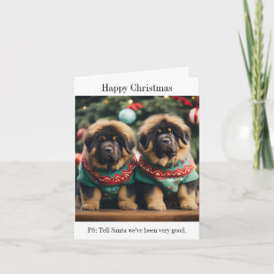 Tibetan Mastiff Puppies Christmas Card