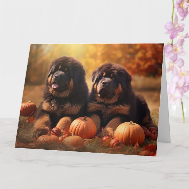Tibetan Mastiff Puppy Autumn Delight Pumpkin  Card (Orchid)