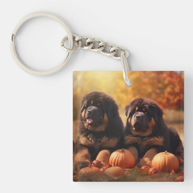 Tibetan Mastiff Puppy Autumn Delight Pumpkin  Key Ring (Front)