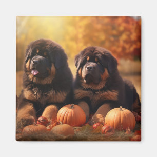 Tibetan Mastiff Puppy Autumn Delight Pumpkin Magnet