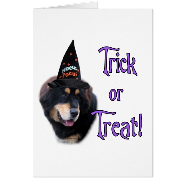 Tibetan Mastiff Trick (Front)