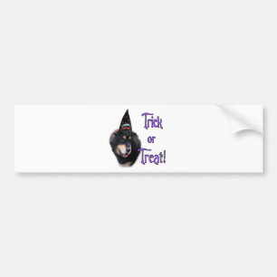 Tibetan Mastiff Trick Bumper Sticker