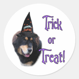 Tibetan Mastiff Trick Classic Round Sticker
