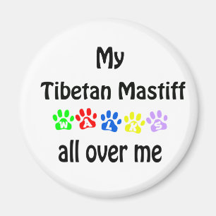 Tibetan Mastiff Walks Design Magnet