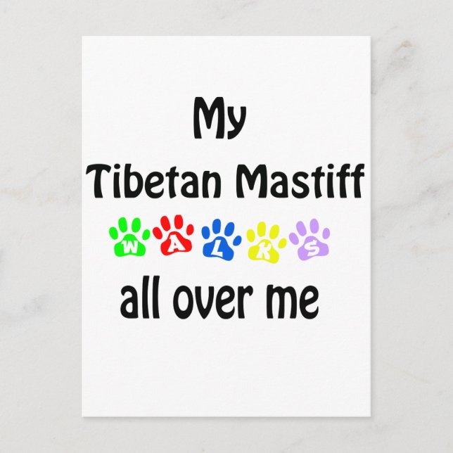 Tibetan Mastiff Walks Design Postcard (Front)