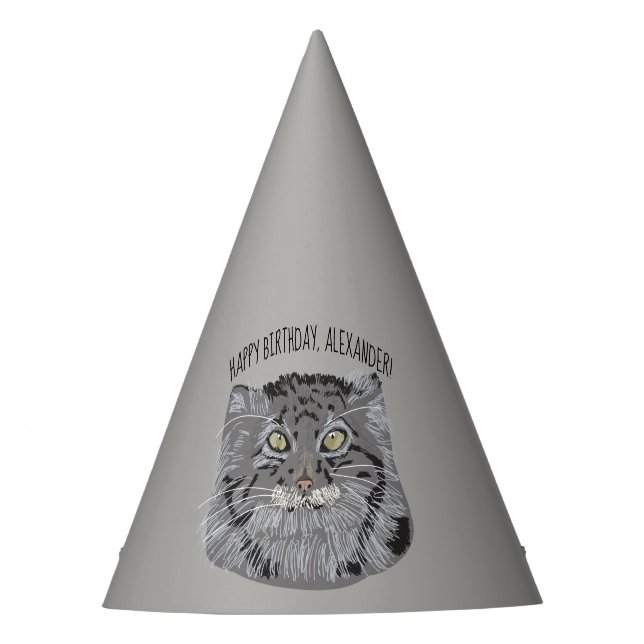 Tibetan Pallas Cat Personalised Party Hats (Front)